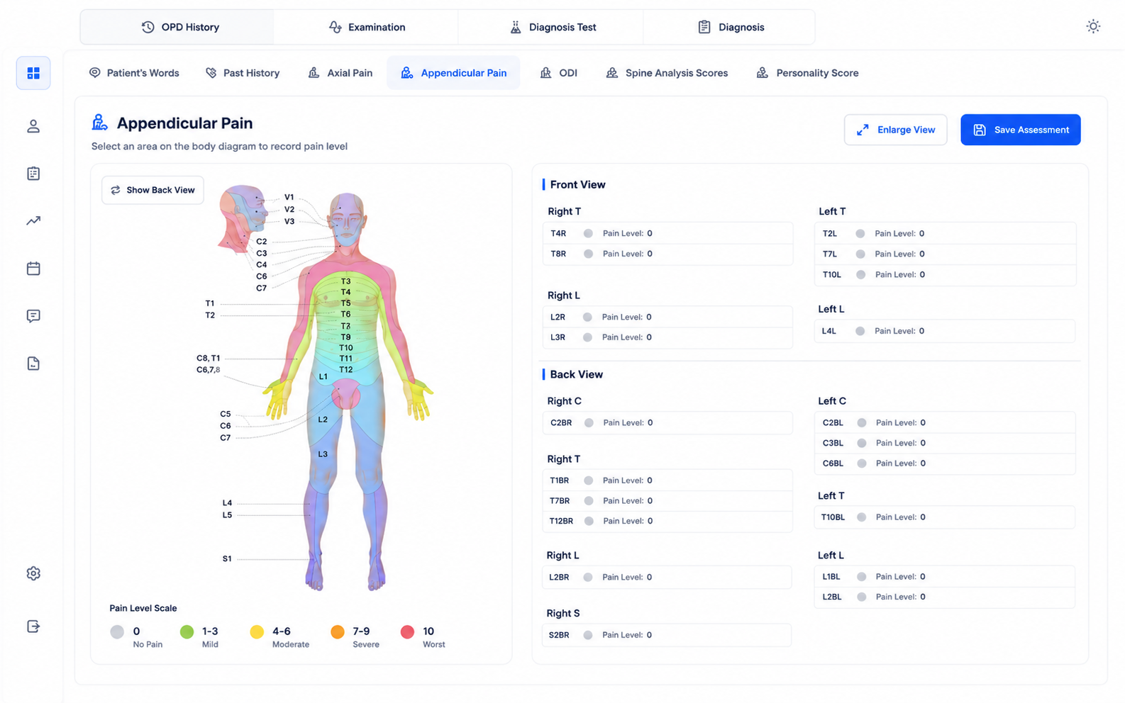 Pain Assessment Software.